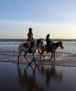 Horseback Riding in Seminyak Horseback Riding in Seminyak