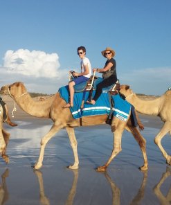 Camel Ride
