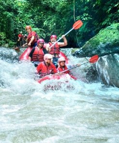 White Water Rafting Ayung River White Water Rafting Ayung River