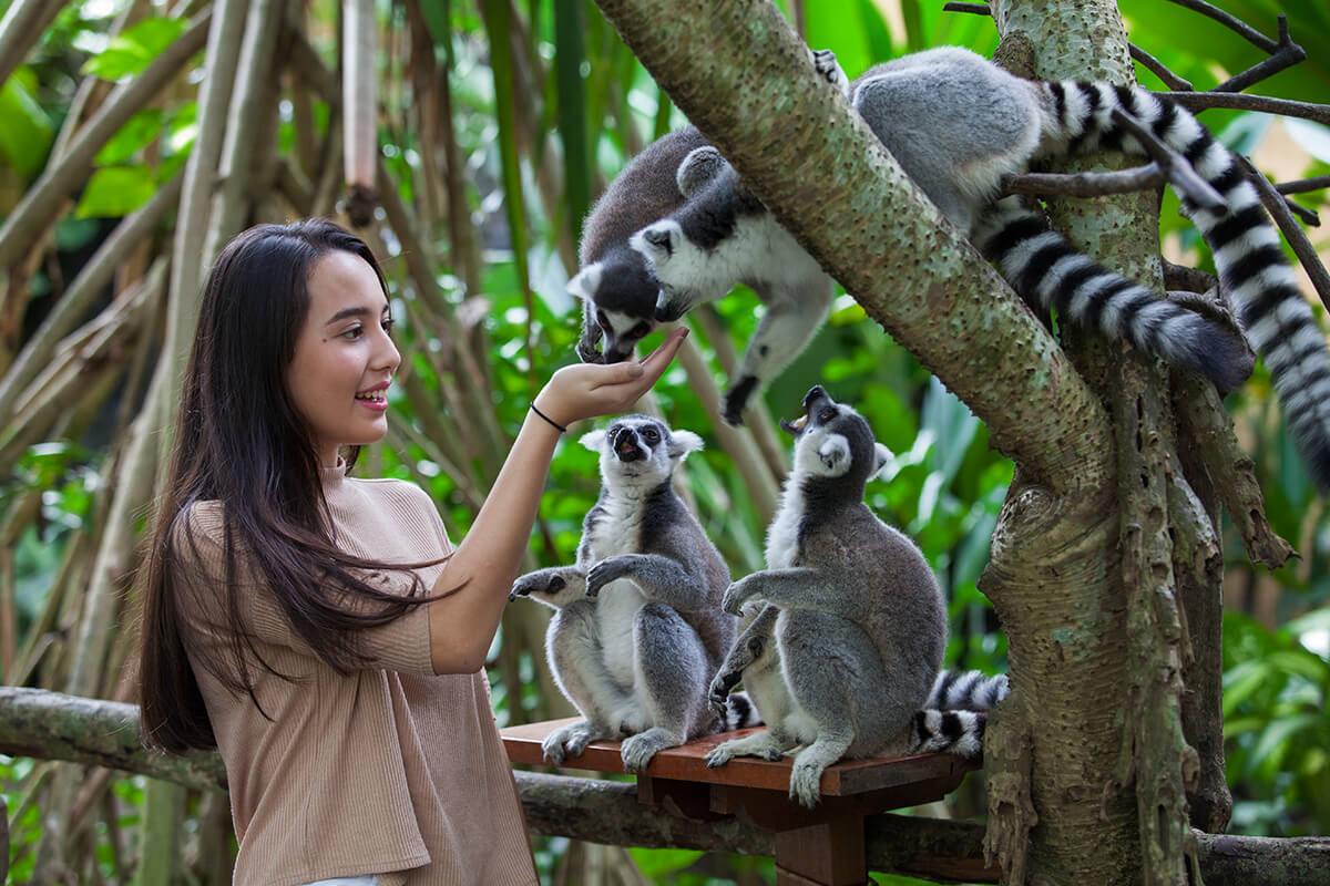 Bali Zoo Admission – Bali Fun Time