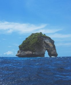 Diving in Nusa Penida Diving in Nusa Penida