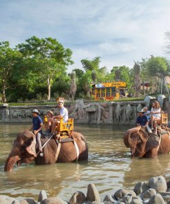 Elephant Expedition at Bali Zoo