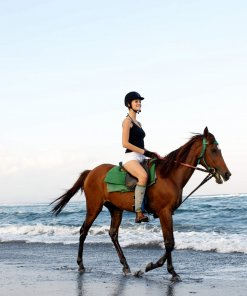 Horse Riding on the beach Horse Riding on the beach