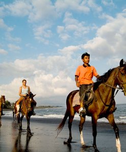 Horse Riding along Saba Bay