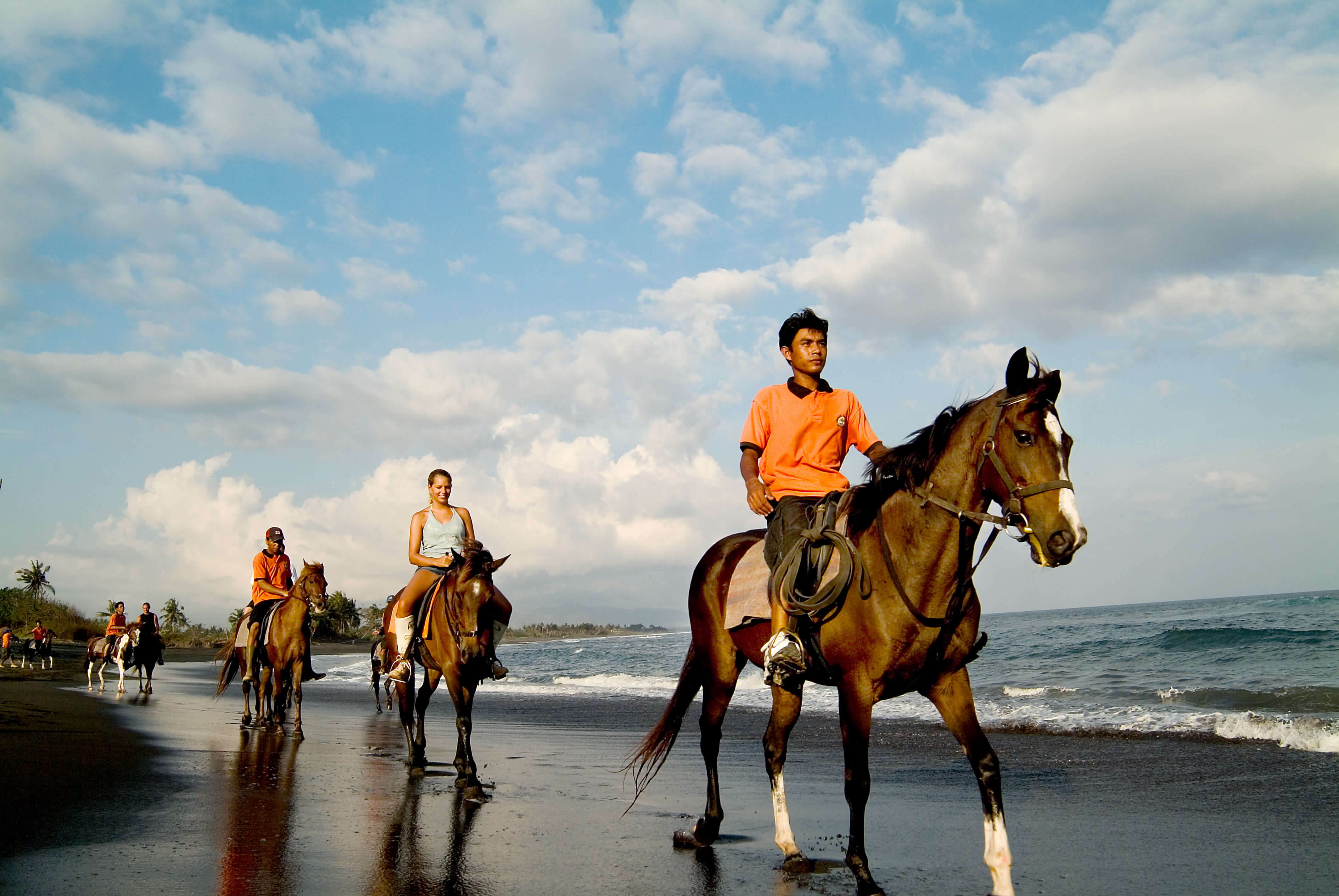 Ride the chariot. Конные прогулки у моря. Конная прогулка пляж. Катание на лошадях на Мальдивах. Конные прогулки в Венесуэле.