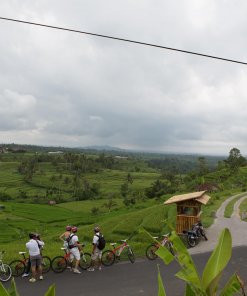 Jatiluwih Rice Paddy Cycling Jatiluwih Rice Paddy Cycling
