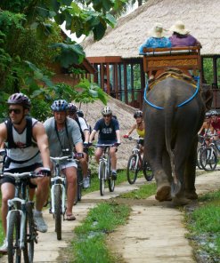 Carangsari Village Cycling Carangsari Village Cycling
