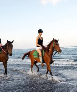 Horse Riding along Saba Bay